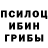 Псилоцибиновые грибы Magic Shrooms Danil Poluyanov