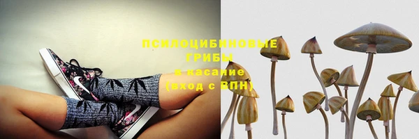 спайс Белоозёрский