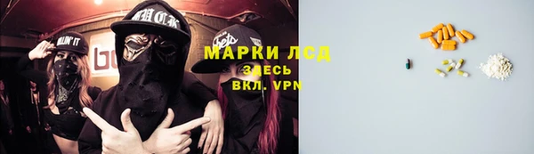стаф Усмань