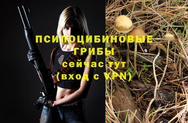 дживик Белокуриха