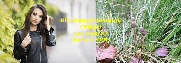 ПСИЛОЦИБИНОВЫЕ ГРИБЫ Усолье-Сибирское