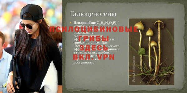 бутират Богданович