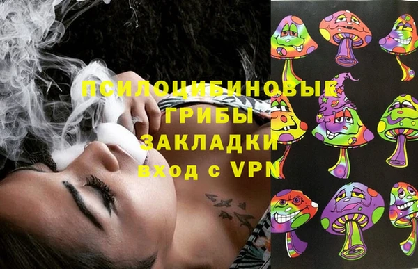 дживик Белокуриха